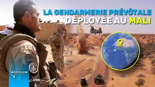 La Gendarmerie prévôtale au Mali [upl. by Juetta]