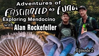 Adventures of Fascinated By Fungi Exploring the Mendocino Coast with Alan Rockefeller Episode 2 [upl. by Byrann911]