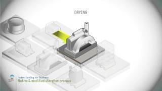 Native and modified starch process [upl. by Acyre269]