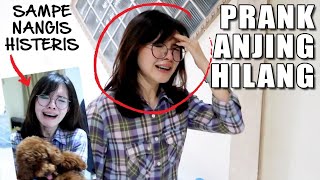 PRANK ANJING HILANG KE PACAR  ENDINGNYA BIKIN TERHARU [upl. by Daub]