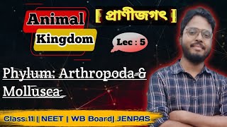 Animal kingdom Lec  5 Arthropoda amp Mollusca  class 11 Biology  NEET WBBoard JENPAS [upl. by Sobel]