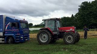 Massey Ferguson 3090 in pulling MAN in mud Izvlacenje kamiona [upl. by Clardy667]