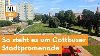 Cottbus  So steht es aktuell um die Stadtpromenade Einblicke in 4 Sitzung [upl. by Naie]