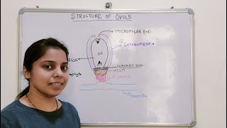 Morphology of Ovule  Micropylar end  Chalaza end  Hilum  Funicle  Placenta  NEET  PreMedical [upl. by Ayitahs]