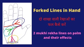 Fork line or Vishnu Sign in your heart line headmind line Fork at LifeLine in Palmistry [upl. by Gildus]