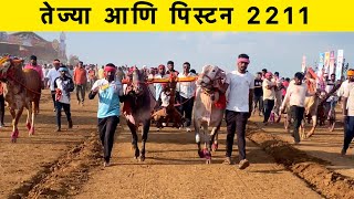 तेज्या आणि पिस्टन 2211 🔝💥🚀bailgadasharyat [upl. by Warren]