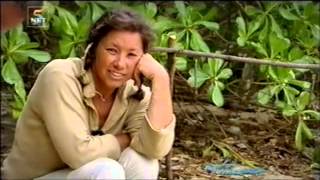 Expeditie robinson 2004 Aflevering 5 [upl. by Ecineg]