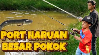 Ajoi Bawak Zukie Mancing Port Haruan [upl. by Oah417]