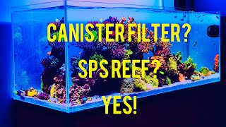 Canister Filter Reef Tank Yes  Tips and secrets to successful canister filter reefing [upl. by Archle183]