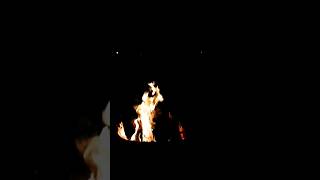 A Burning Fire Pit with fiddle 🎻 music youtubeshorts asmr firepit fireplace [upl. by Xavler71]