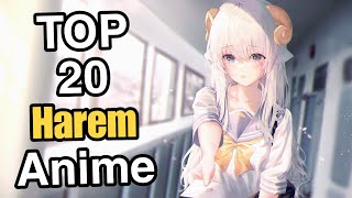 Top 20 Best Harem Anime Hindi  You Must Watch Before You Die😍 [upl. by Nyl788]