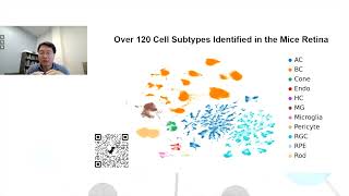 Comprehensive characterisation of the mouse retina transcriptome using longread RNA sequencing [upl. by Jotham]