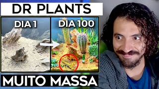 Simulando um Deserto  Dr Plants Brasil  Leozin React [upl. by Aneleh107]