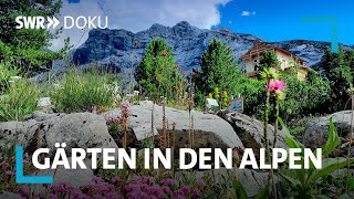 Zwischen Almen und Palmen  Gärten in den Alpen  SWR Doku [upl. by Arateehc]