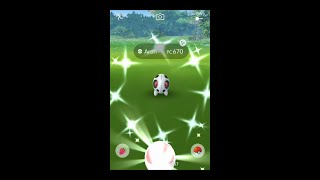 ARON SHINY ✨  Pokemon GO [upl. by Lucius458]