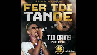 Tii Dams  FER TOI TANDE Audio [upl. by Uttasta]