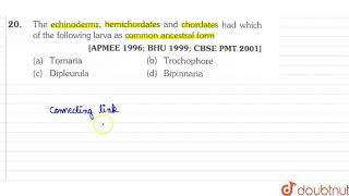 The echinoderms hemichordates and chordates hd which of the following larva as common ancestral [upl. by Jez]