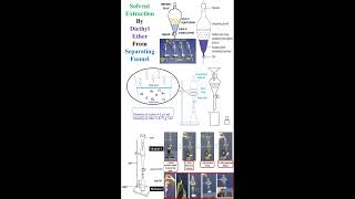 Solvent Extraction by Diethyl Ether from Separating Funnel Principle Work geneticteacher [upl. by Anihsit]