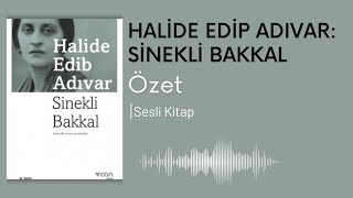 Halide Edip Adıvar Sinekli Bakkal Detaylı Özet  Okul Sınavlarına Yardımcı Podcast [upl. by Cosetta]