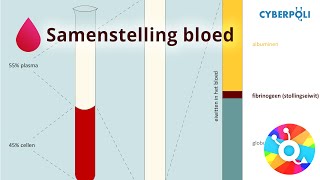 Samenstelling  Bloed [upl. by Paymar]