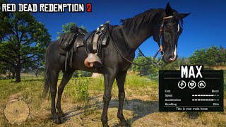 The Most Underrated Horse in Red Dead Redemption 2  Black Arabian  RDR2  PS4 Slim [upl. by Ratcliffe19]