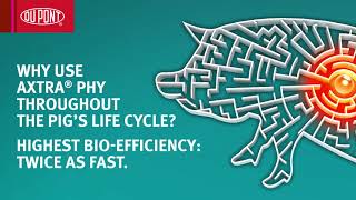 Axtra® PHY the fastacting phytase  DuPont Nutrition amp Biosciences [upl. by Latt]