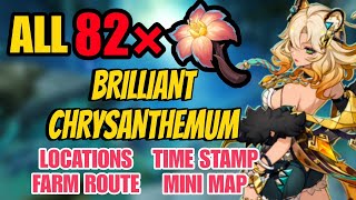 All 82 Brilliant Chrysanthemum Locations amp farm route  Genshin Impact Xilonen ascension materials [upl. by Reginauld]