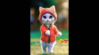 Cute cat dance  in hindi song [upl. by Aibos]