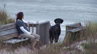 April in the Outer Banks Corolla NC [upl. by Emmett]