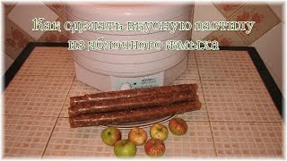 Как сделать вкусную пастилу из яблочного жмыха [upl. by Wilburt414]