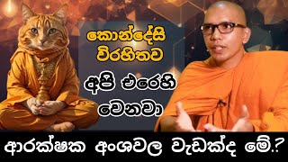 පූස් බුද්ධලා ආයෙත් වැඩ පටන් අරන්VenBalangoda Kassapa Thero [upl. by Gnanmos]