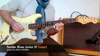 Fender Blues Jr [upl. by Llehsor560]