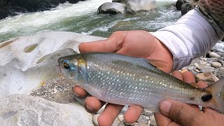 Pesca entre chocó y Risaralda rio san juan [upl. by Cerellia]