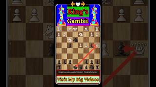 Kings Gambit Accepted Modern Abbazia Defense chess [upl. by Idnew]