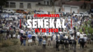 Senekal 16102020  South Africa  Suidlanders Live Stream Mirror [upl. by Ninnetta93]