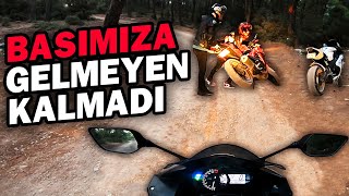 MOTORLARLA ORMANA GİRDİK  252 BEYGİRLE  ORMAN MOTOVLOG [upl. by Odama]