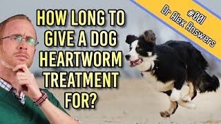 How Long Should I Give My Dog Heartworm Prevention Tablets For  Dog Health Vet Advice [upl. by Acinok]