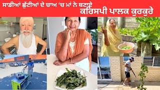 Mummy made PALAK KURKURE from our Garden during 🔥 Hot 🔥 Weather in New Zealand  Nazara aa Gaya [upl. by Grof]