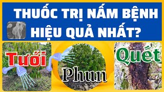 Thuốc phòng trị nấm bệnh tốt nhất  Luân phiên hoạt chất  Chọn hoạt chất phù hợp tưới phun quét [upl. by Stanton]