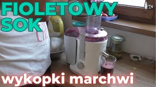 Fioletowy sok i wykopki marchewki czerwonej [upl. by Hecker]