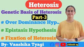 Over Dominance Epistasis and Fixation of Hypothesis Heterosis Part3 [upl. by Gonnella]