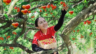 Harvest Acerola Cherry Goes to the market sell  Delicious fruit dishes  Emma Daily Life [upl. by Shedd]