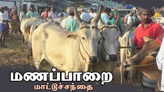 Manapparai mattu santhai  மணப்பாறை மாட்டு சந்தை  காளை மாடு  வண்டி மாடு [upl. by Ellehsar348]