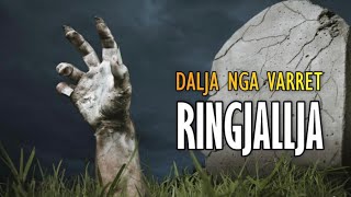 RINGJALLJA Dalja nga varret [upl. by Nasho]