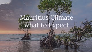 Mauritius Climate What to Expect [upl. by Odnaloy]