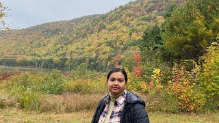 Last Day of Cabot Trail Our Cozy Guest House Stay in Englishtown  NS  Canada [upl. by Fagen]