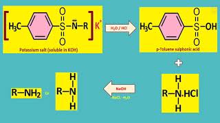 L6 Amines Separation and Distinction of Primary Secondary and Tertiary Amines [upl. by Lled588]