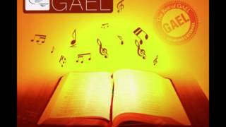 Les Remix De Gael Vol 2  Adorons l’éternel En français   Worship Fever Channel [upl. by Erait]