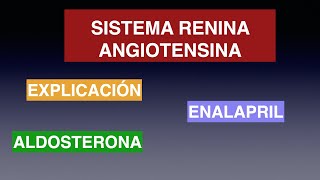 Cómo funciona el sistema Renina  Angiotensina  Aldosterona Para qué sirve el ENALAPRIL [upl. by Seligmann]