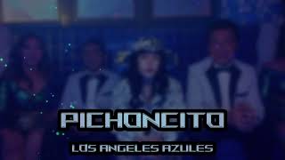 Los Angeles Azules  Pichoncito Cumbias 2023 En Vivo [upl. by Aicenad]